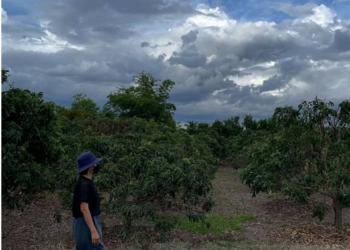 เงินสะพัด! “ซาร่า” เปิดขายที่ดินแปลงงาม ทำเลทอง วิวภูเขาสุดปัง เห็นแล้วตาลุกวาว