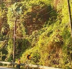 เนินช้างร้อง วันนี้คนขับร้องแทน! กระบะบรรทุกของขึ้นเนินไปต่อไม่ไหว หงายหลังล้อชี้ฟ้ากลางถนน